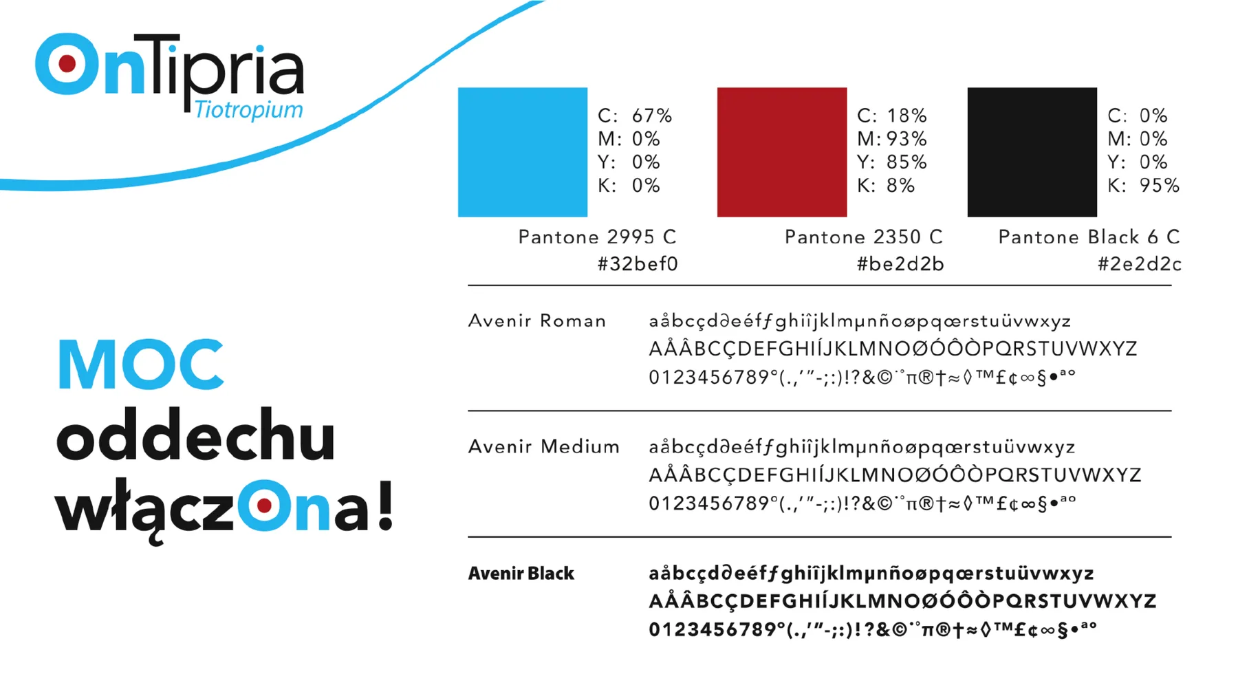 System identyfikacji marki: logotyp, paleta kolorów i typografia
